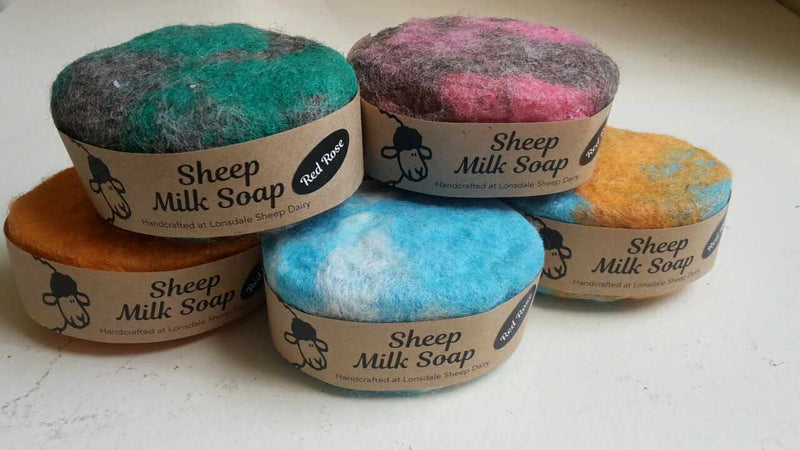 Felted Oval Baaa- A Baa of many colours