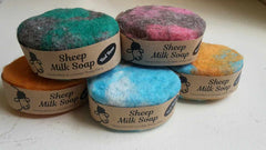 Felted Oval Baaa- A Baa of many colours